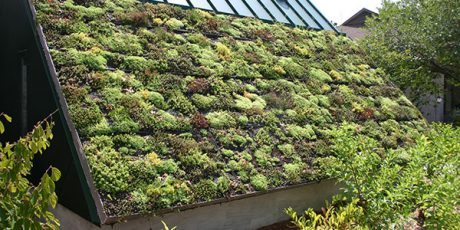 How to Make Your Roof More Environmentally Friendly