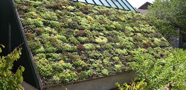 How to Make Your Roof More Environmentally Friendly
